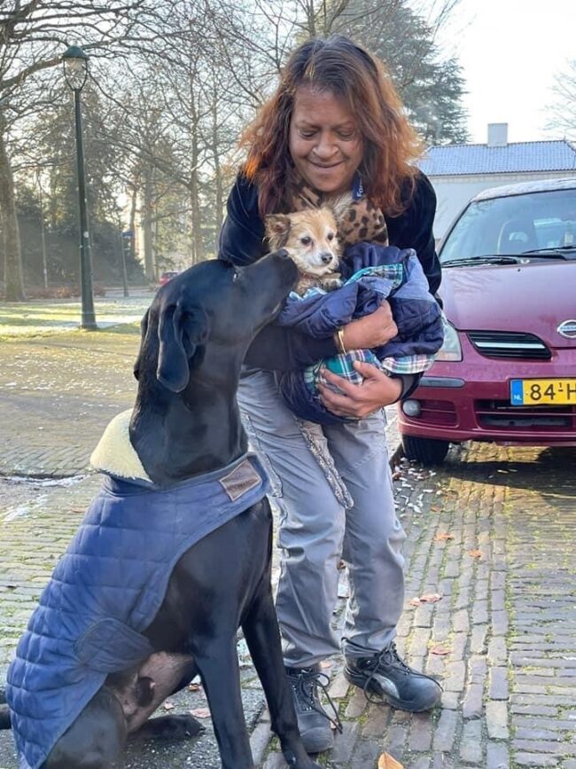 2021-11-20-Dogsearch-Binky-1